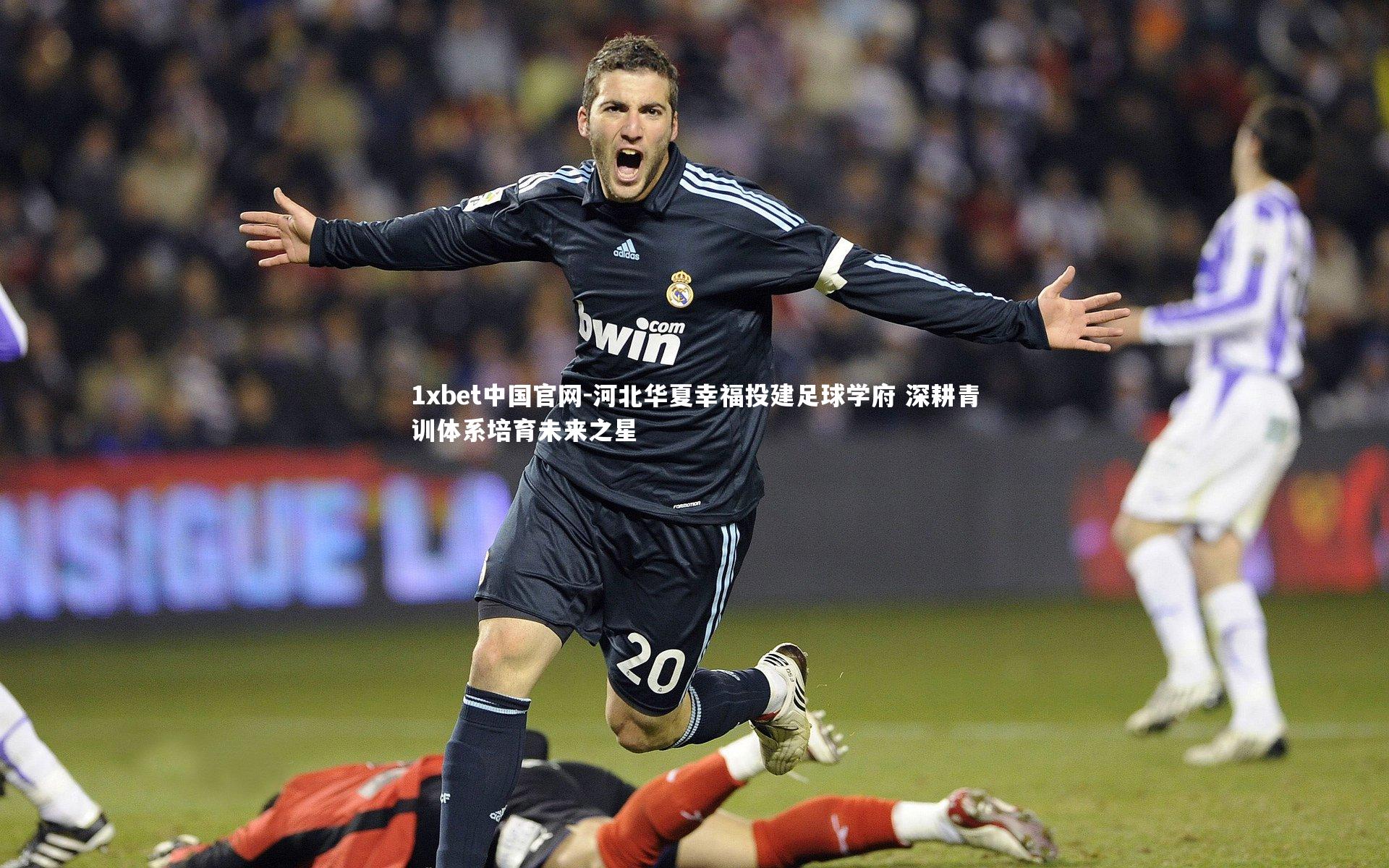 河北华夏幸福投建足球学府 深耕青训体系培育未来之星