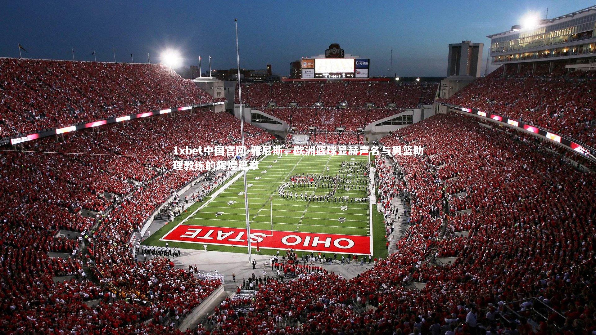 雅尼斯，欧洲篮球显赫声名与男篮助理教练的辉煌篇章